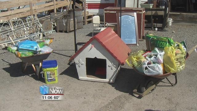 The Junk Girl Shop collects donations for local animal rescues